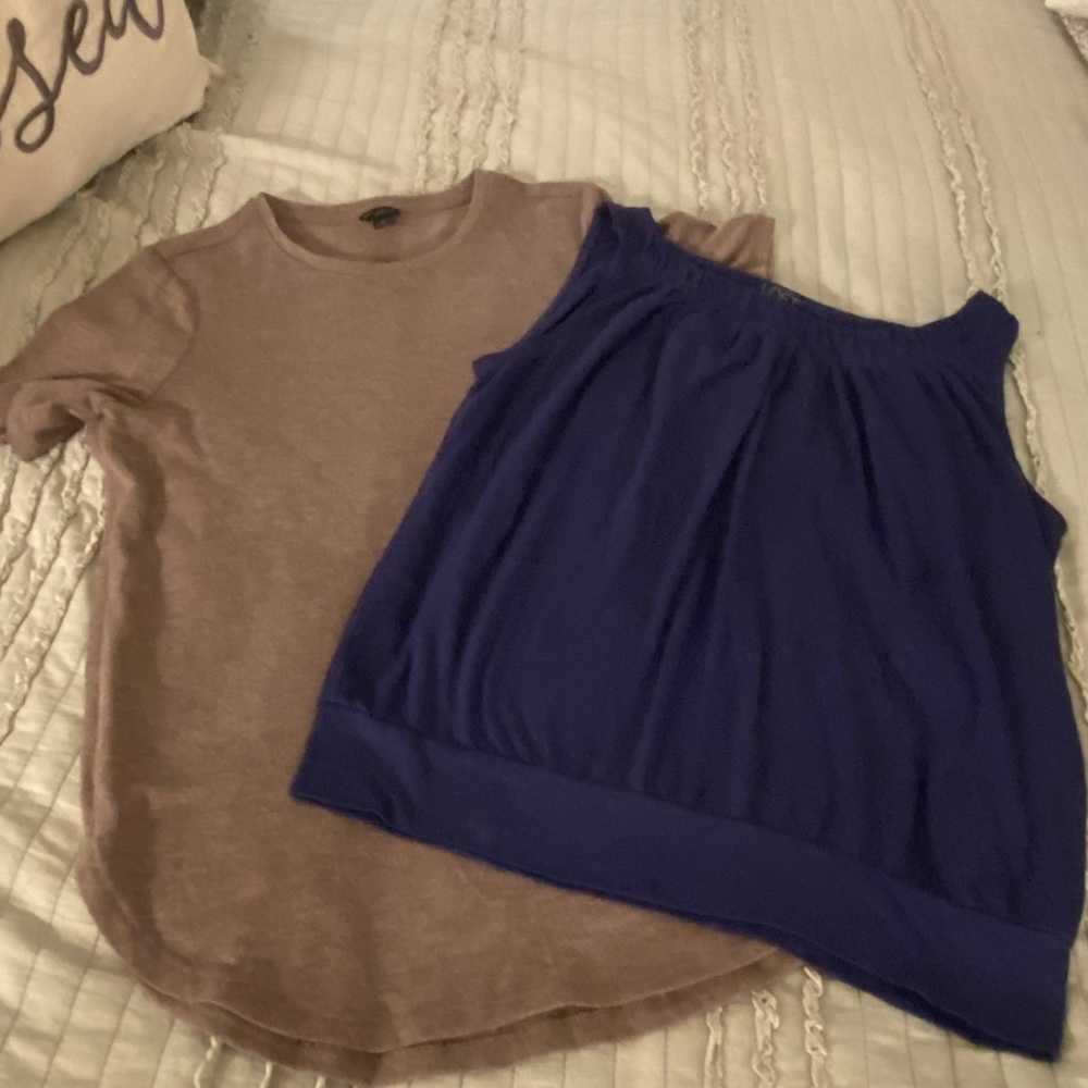 2- Ann Taylor Loft Tops ; Small
